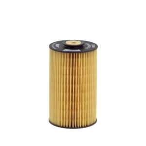 HENGST FILTER-E10KP D10-931260
